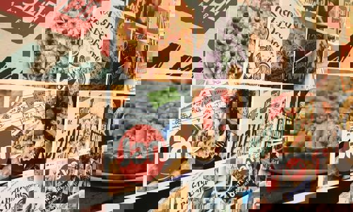 IMG 0967 1024X768